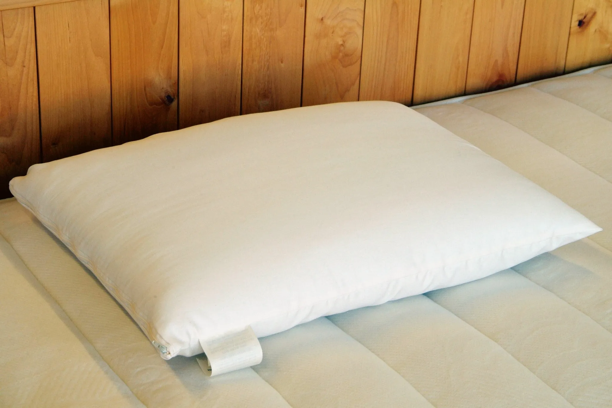 100% Natural Solid Latex Wrapped in Eco-Wool Pillow