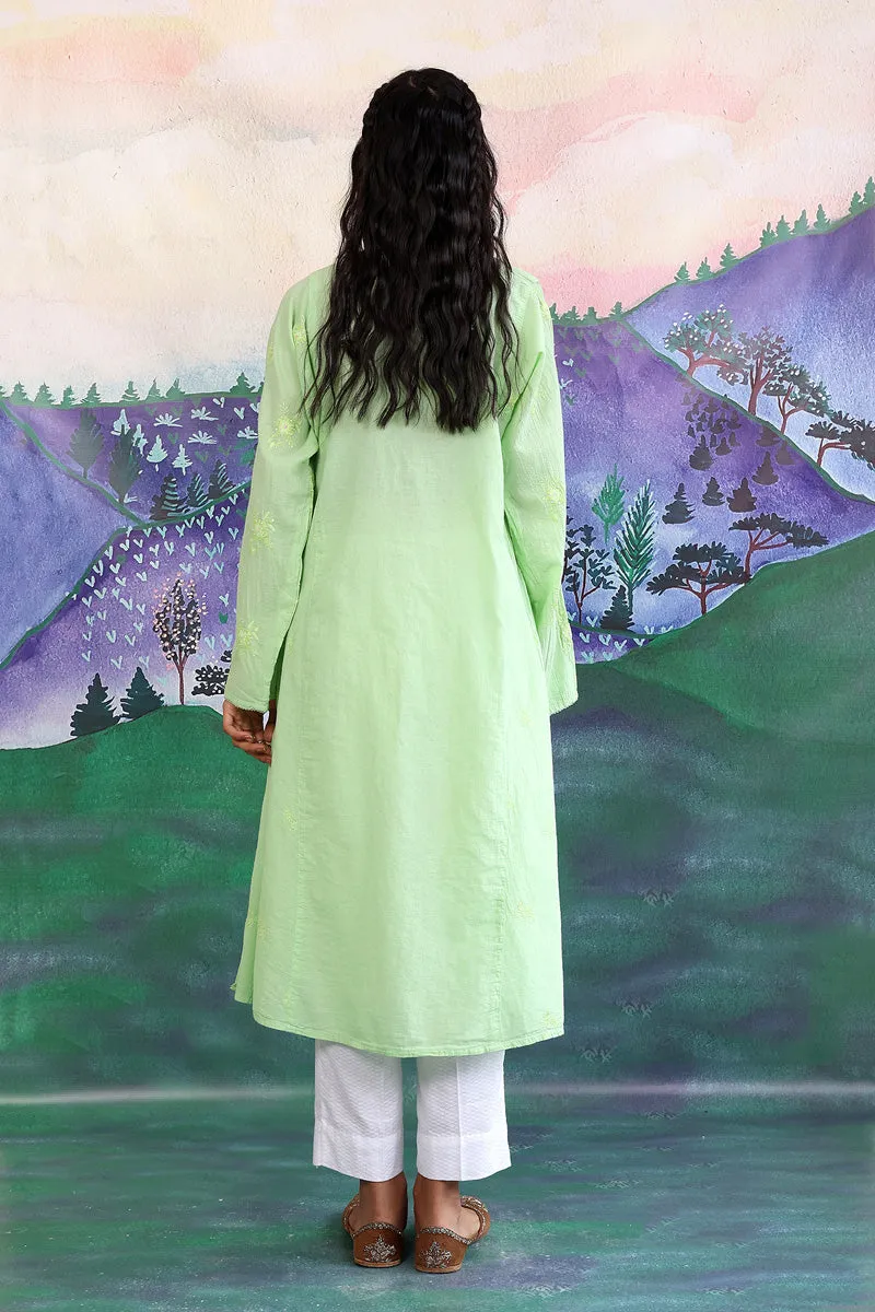 Baagh Kurta