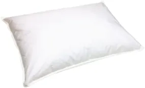 Final Sale: 50% Off Regular Price Natural Living Ingeo Pillow | Extra Loft