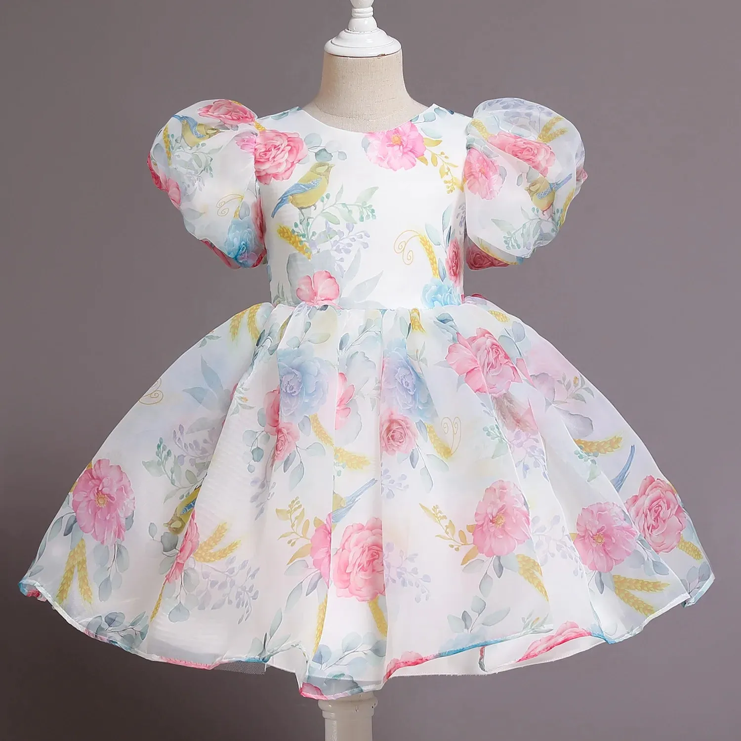 Girl Princess Vintage Dress